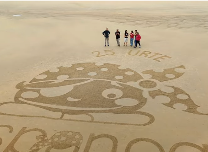 BIZI abestiaren karatula